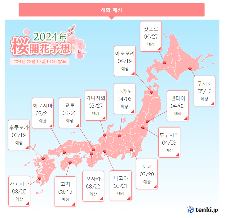 2024년 일본 벚꽃 개화시기