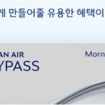대한항공 skypass