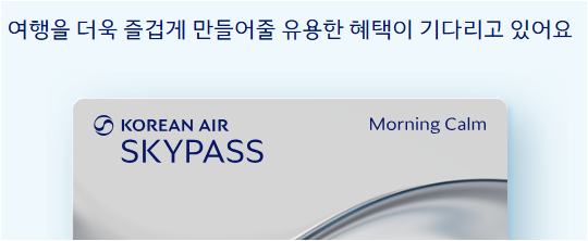 대한항공 모닝캄