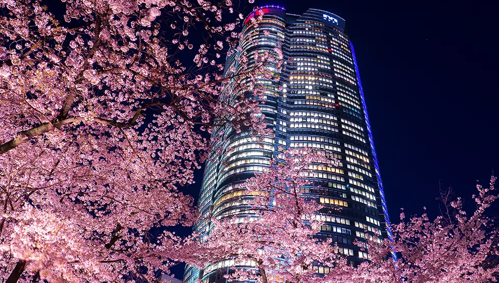 도쿄 롯폰기 힐즈 전망대(도쿄 시티 뷰) 티켓 예약과 참고사항